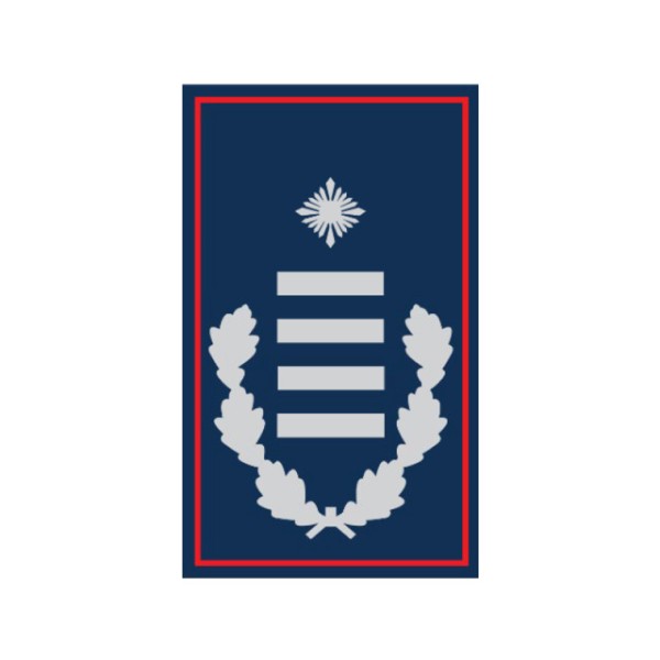 Dienstgradschlaufen Erste/r Hauptbrandinspektor/-i