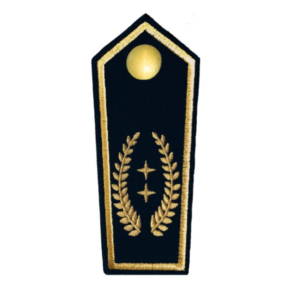 Schulterkl. Kreisbrandmeister/in