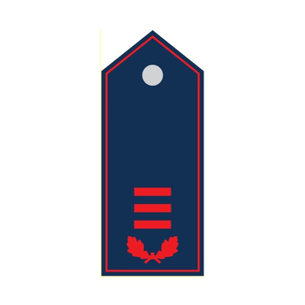 Schulterklappen Oberfeuerwehrfrau/-mann Niedersach