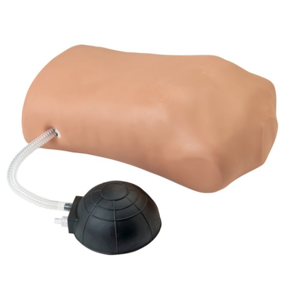 Pneumothorax Simulator ERLER-ZIMMER,