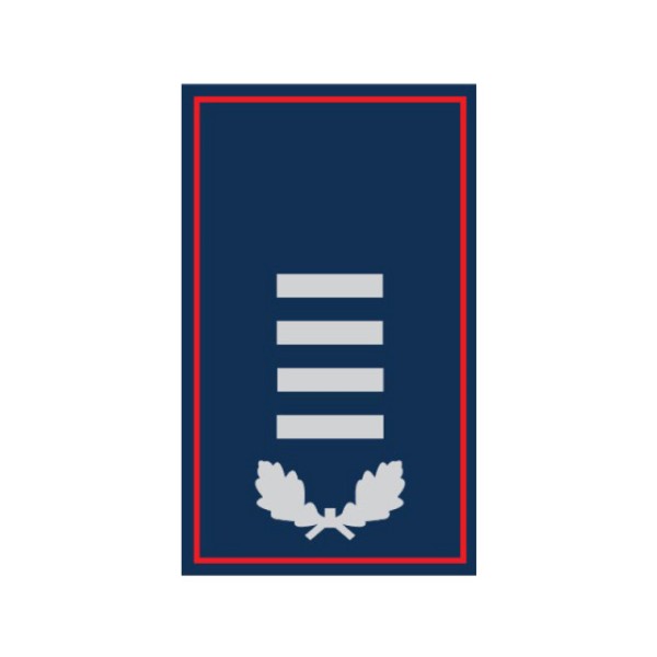 Dienstgradschlaufen Hauptbrandmeister/-in Niedersa