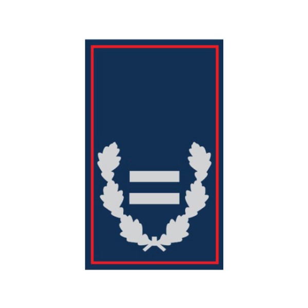Dienstgradschlaufen Brandinspektor/-in Niedersachs