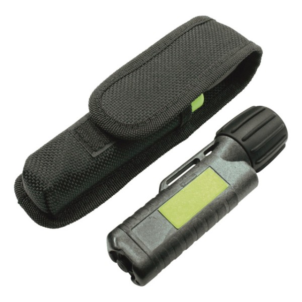 Holster