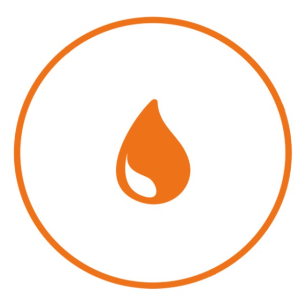 Waldbrandbekämpfung PHÖNIX Modul II