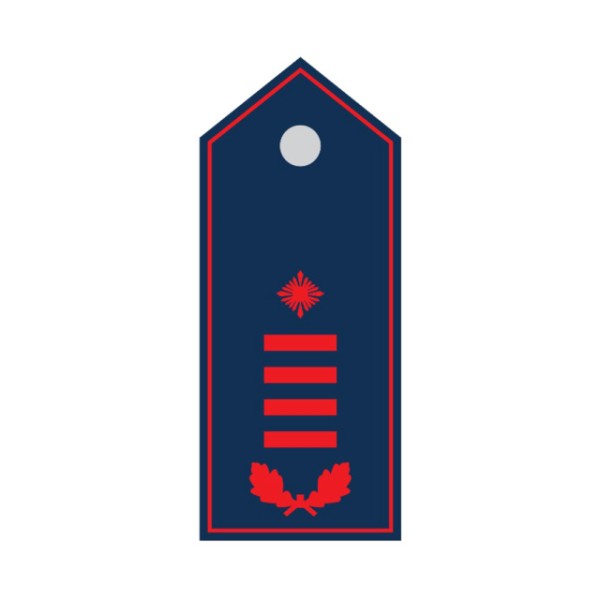 Schulterklappen Erste/r Hauptfeuerwehrfrau/-mann N