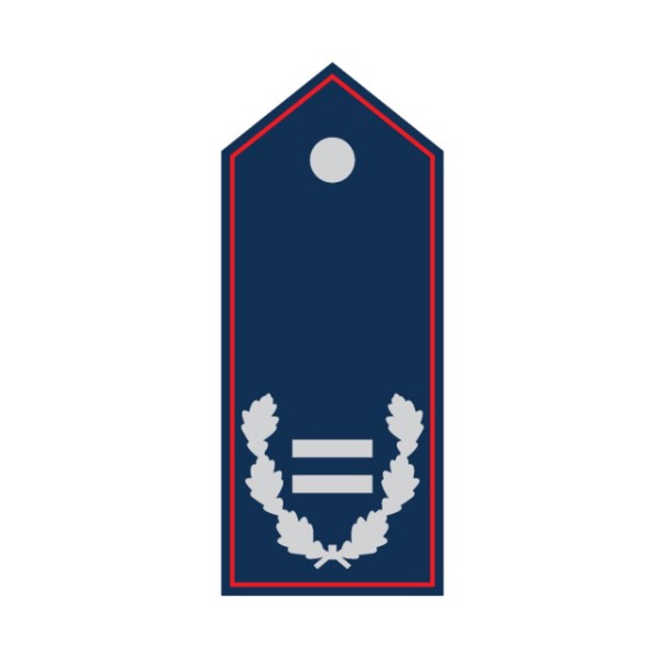 Schulterklappen Brandinspektor/-in Niedersachsen n