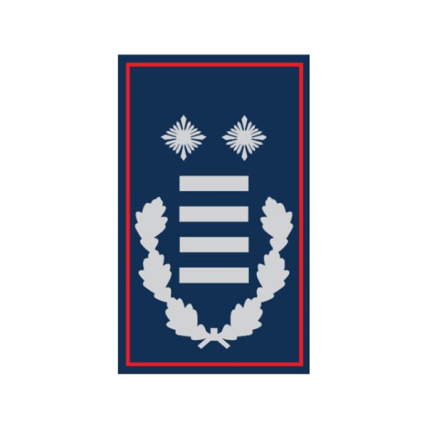 Dienstgradschlaufen Gemeinde-/Stadtbrandinspektor/