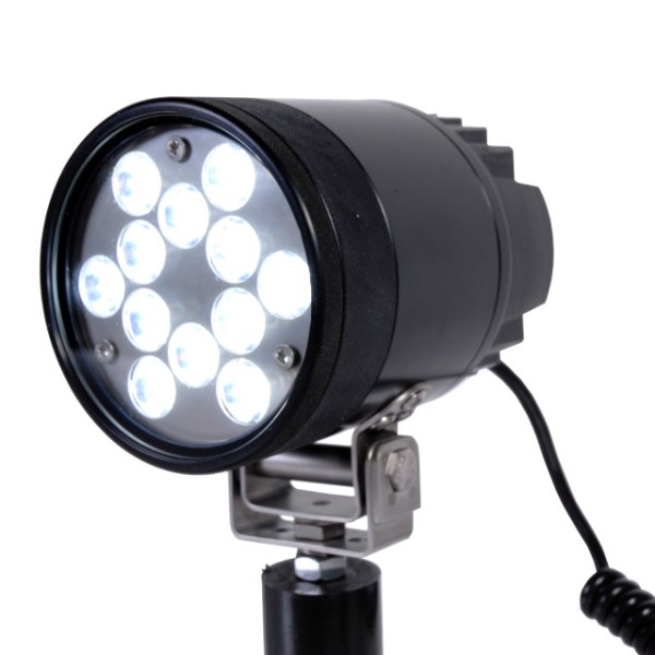 LED 5000 Spot