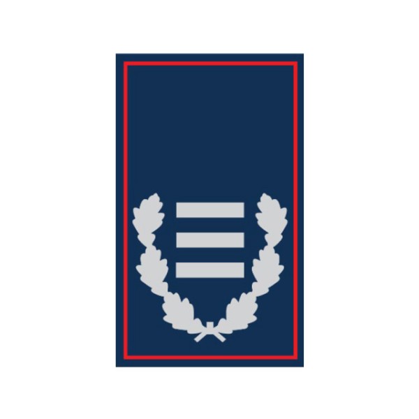 Dienstgradschlaufen Oberbrandinspektor/-in Nieders
