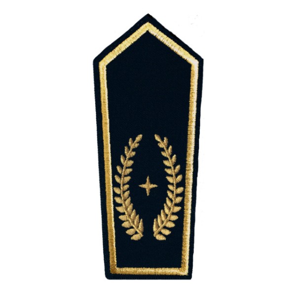 Schulterkl. Stellv. Kreisbrandmeister/in