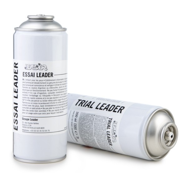 LEADER Spraydose 12 Stück (VE)