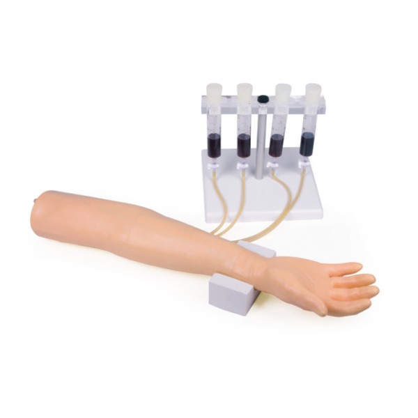 Trainingsarm ERLER-ZIMMER Intravenöse