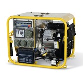 ENDRESS Stromerzeuger ESE 954 DBG ES DIN