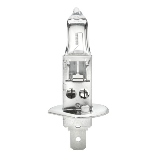 Glühlampe Halogen 12 V/55 W