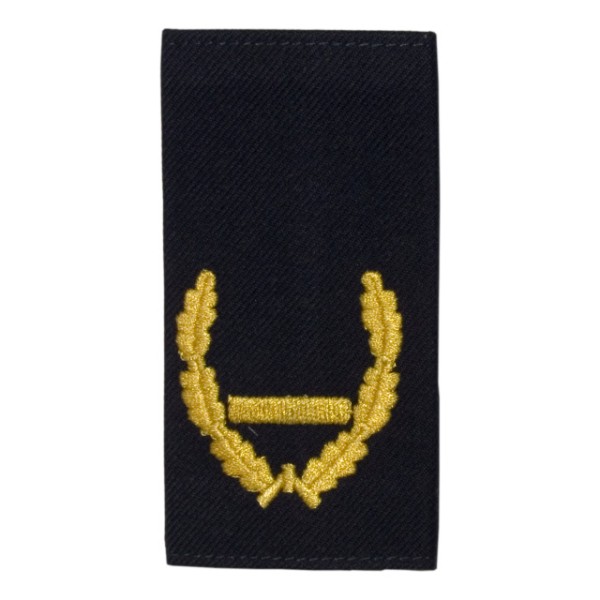Dienstgradschlaufen Brandassessor/in