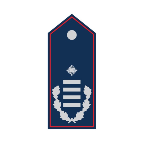 Schulterklappen Erste/r Hauptbrandinspektor/-in Ni