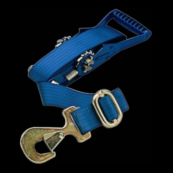 Spanngurt 2 m, blau, mit Ratsche