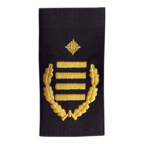 Ltd. Branddirektor/in