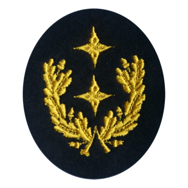 Regierungsbrandmeister/in