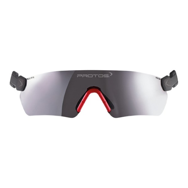 Schutzbrille Protos Integral, grau,