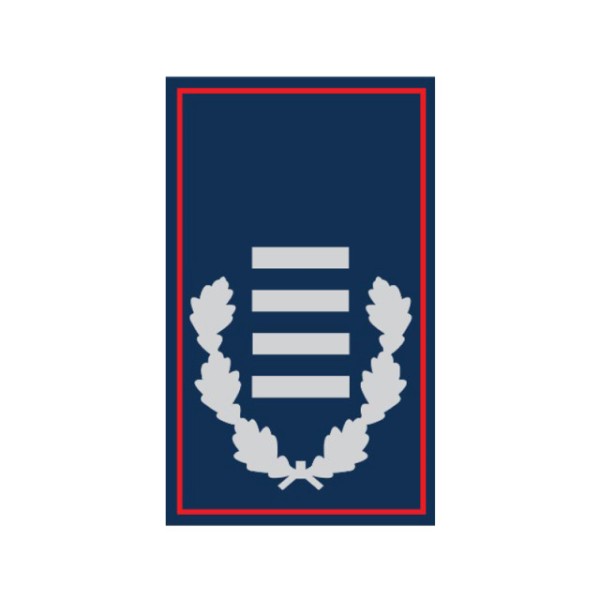 Dienstgradschlaufen Hauptbrandinspektor/-in Nieder