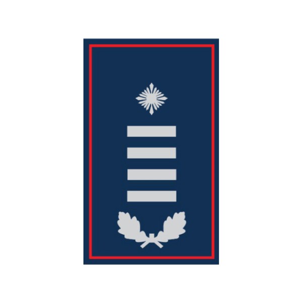Dienstgradschlaufen Erste/r Hauptbrandmeister/-in