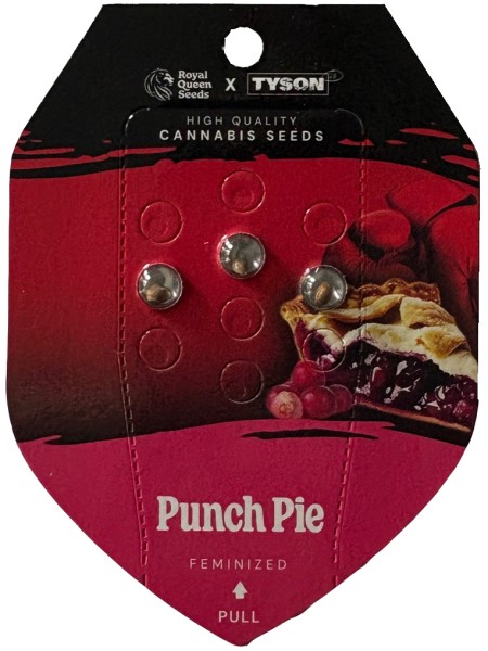 ROYAL QUEEN SAMEN PUNCH PIE