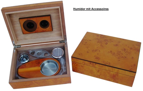 HUMIDOR WURZELHOLZ