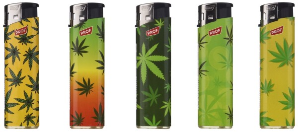 PROF ELEKTR. Motiv RASTA LEA