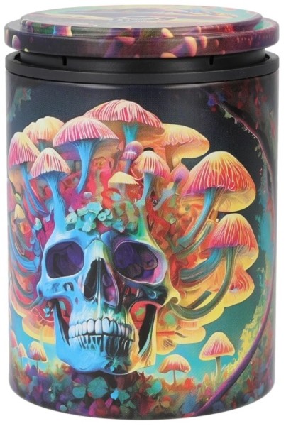 AUTOASCHENBECHER ZORR PSYCHE