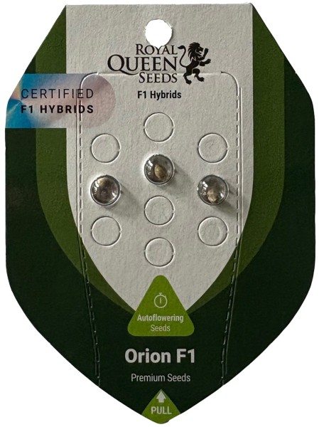 ROYAL QUEEN SAMEN ORION F1