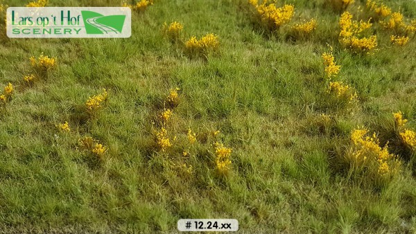 Grasmatte Wiese mit Dotterblumen