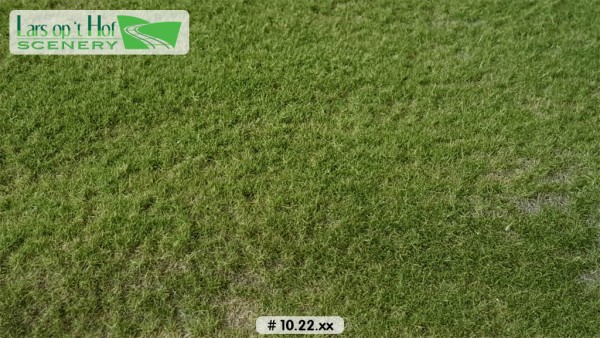 Grasmatte Wiese Sommer kurz