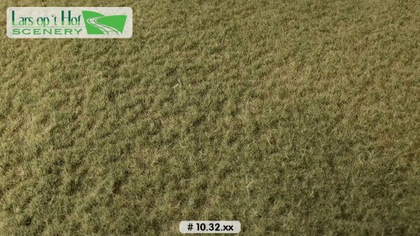 Grasmatte Wiese Herbst kurz