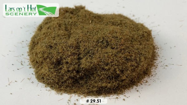 Nadelwaldboden - Typ 1