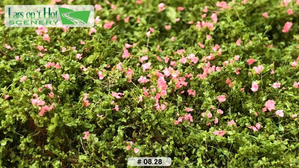 Heckenrosen rosa