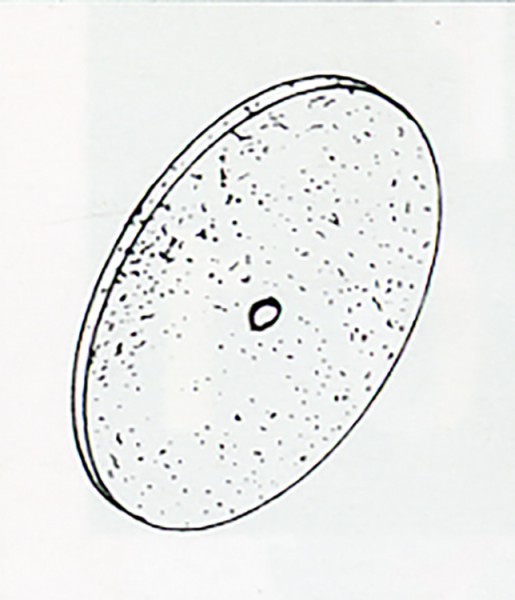 Trennscheiben Durchmesser 22 mm, 0,3 mm dick